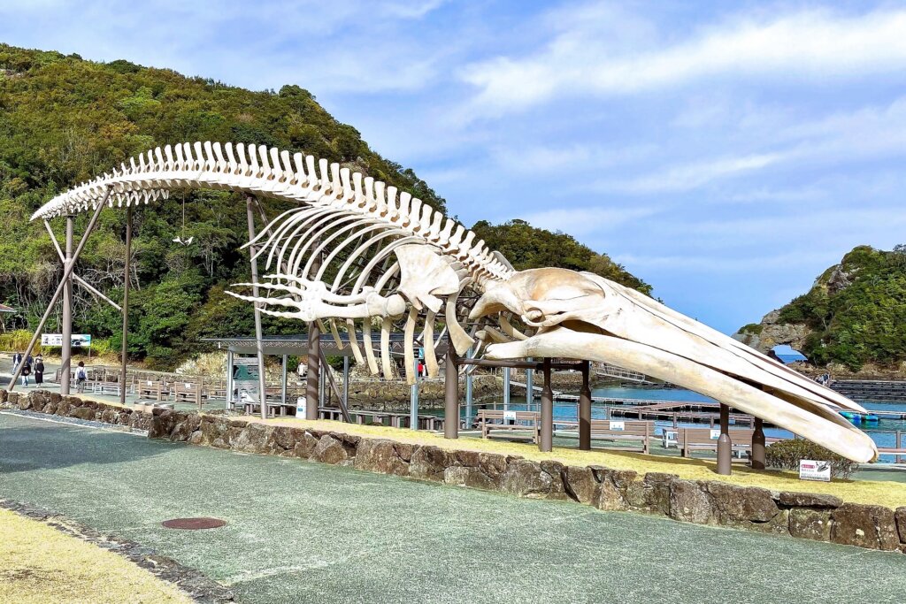 行ってよかった、那智勝浦の観光スポット｜紀の松島めぐりと、太地くじらの博物館 – A-jump ! (ええじゃん) blog