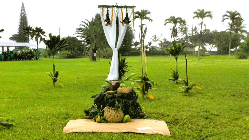 マカヒキ期間に飾られるロノマクア