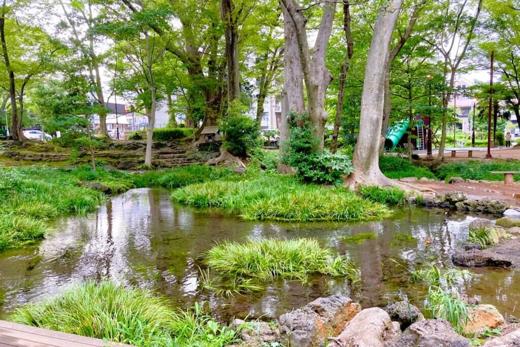 三島湧水公園