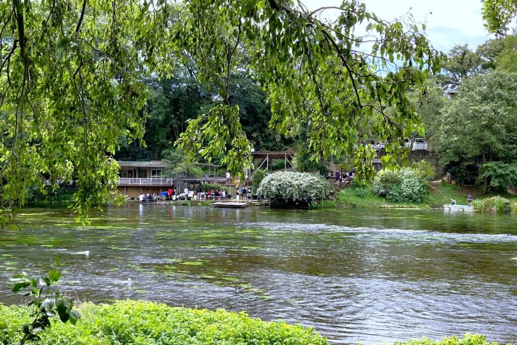 柿田川公園