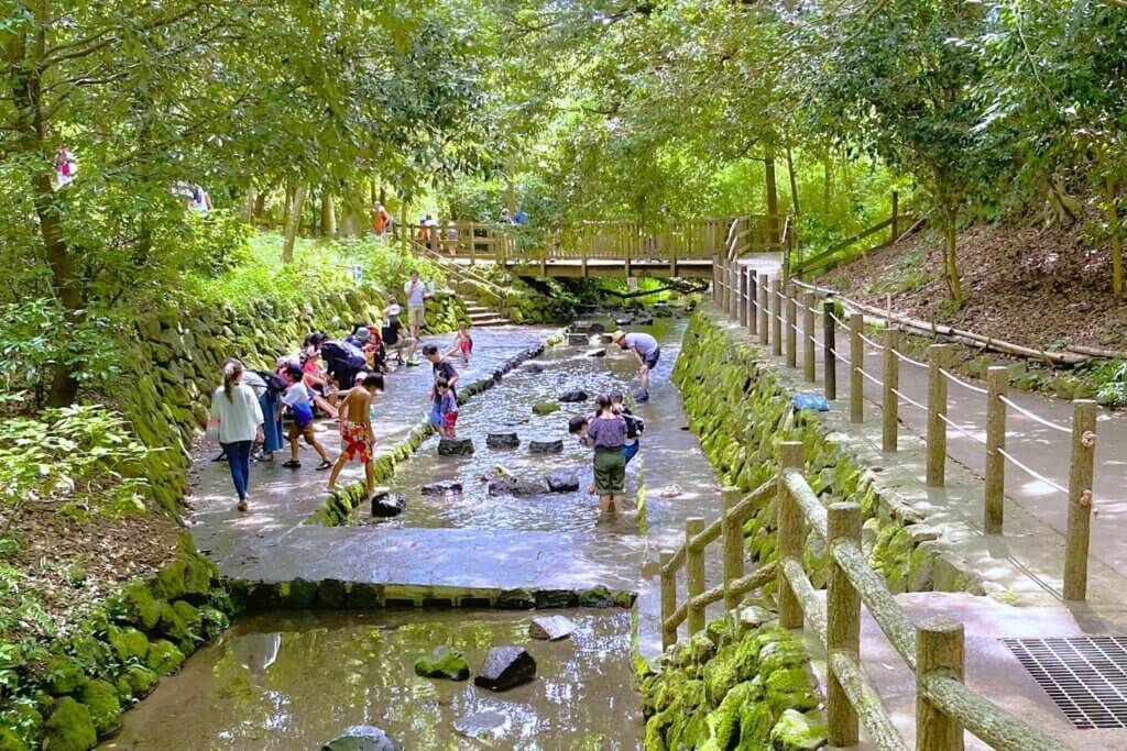 柿田川公園