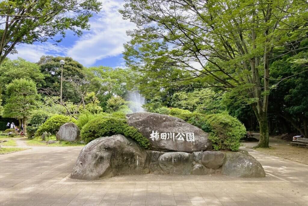 柿田川公園