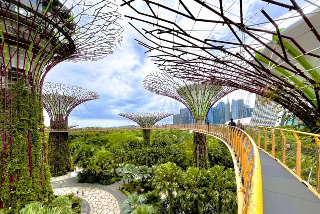 Garden by the bay