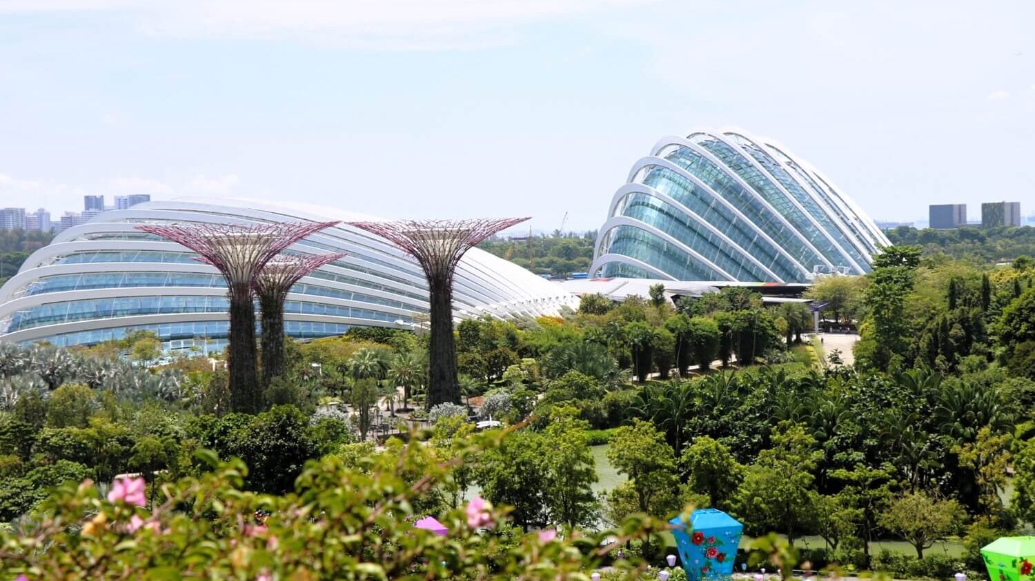 Garden by the bay