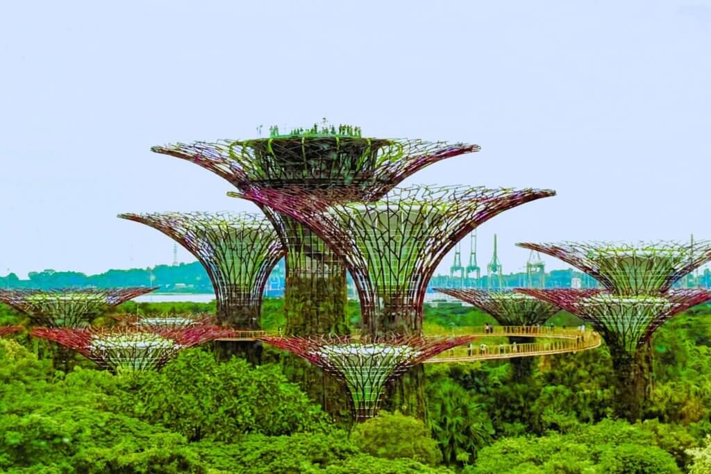 Garden by the bay