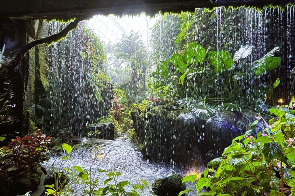 Cloud Forest and Flower Dome at Gardens by the Bay