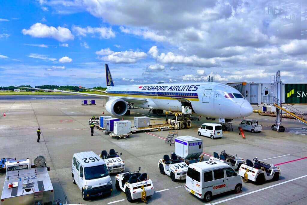 Singapore Airline