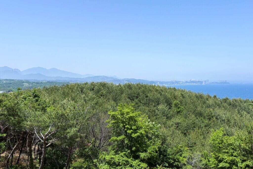 洛山寺